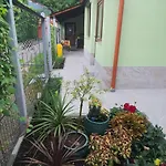 بيت ضيافة Casa Mirella